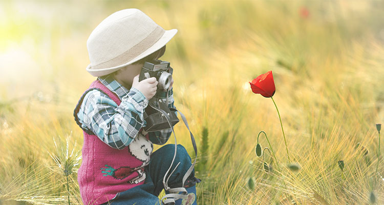 Curset d'iniciació a la fotografia